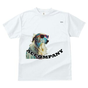 {]C TVc fB[X t@  t  vg JWA 킢 lԗp h ̃fUC ʔ TOX {]C