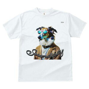 R[ TVc fB[X t@  t  vg JWA 킢 lԗp h ̃fUC ʔ TOX R[ WPbg