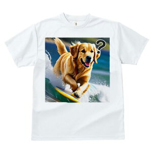 �S�[���f�����g���o�[ T�V���c ���f�B�[�X ���t�@�� ���� �t�� ���� �v�����g �J�W���A�� ���킢�� �l�ԗp ���h ���������̃f�U�C�� �ʔ� �T�[�t�B�� �S�[���f�����g���o�[ �C �g ��