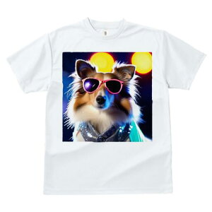 VFbghV[vhbO TVc fB[X t@  t  vg JWA 킢 lԗp h ̃fUC ʔ TOX VFbghV[vhbO 