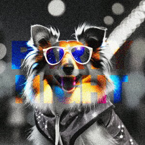 TOX VFbghV[vhbO p[J[ NbVJo[ 45×45cm Aj}   NbV{̕t ` t@