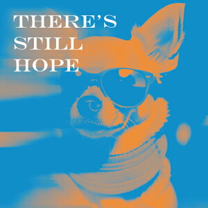 TOX ` XJ[t NbVJo[ 45×45cm Aj}   NbV{̕t ` t@