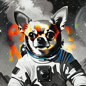 Fsm ` F NbVJo[ 45×45cm Aj}   NbV{̕t ` t@