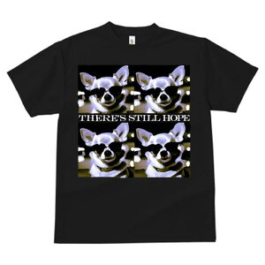 ` TVc fB[X t@  t  vg JWA 킢 lԗp h ̃fUC ʔ TOX `