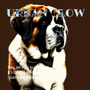 A[o Zgo[i[h O[ sI X^C NbVJo[ 45×45cm Aj}   NbV{̕t ` t@