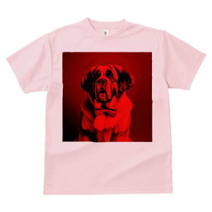 Zgo[i[h TVc Y LbY t@  t  vg JWA 킢 lԗp h ̃fUC ʔ lN^C Zgo[i[h