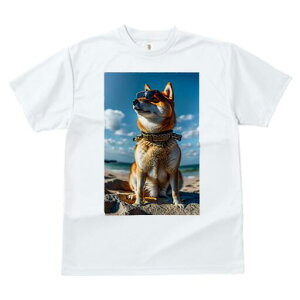 Č TVc fB[X t@  t  vg JWA 킢 lԗp h ̃fUC ʔ TOX Č C r[` 