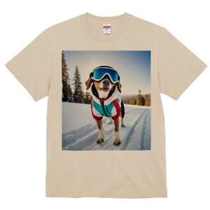 r[O TVc Y LbY t@  t  vg JWA 킢 lԗp h ̃fUC ʔ XL[ r[O  ~ XL[EFA