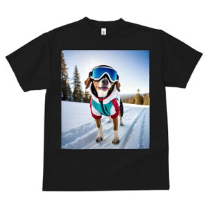 r[O TVc Y LbY t@  t  vg JWA 킢 lԗp h ̃fUC ʔ XL[ r[O  ~ XL[EFA