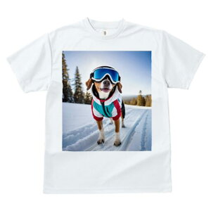 r[O TVc fB[X t@  t  vg JWA 킢 lԗp h ̃fUC ʔ XL[ r[O  ~ XL[EFA