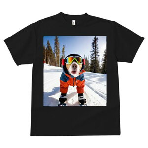 r[O TVc fB[X t@  t  vg JWA 킢 lԗp h ̃fUC ʔ XL[ r[O XL[EFA S[O R