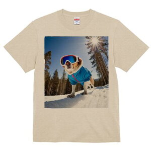 r[O TVc Y LbY t@  t  vg JWA 킢 lԗp h ̃fUC ʔ XL[ r[O ~  XL[EFA