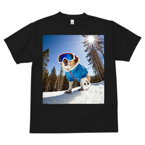 r[O TVc fB[X t@  t  vg JWA 킢 lԗp h ̃fUC ʔ XL[ r[O ~  XL[EFA