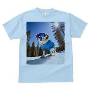 r[O TVc Y LbY t@  t  vg JWA 킢 lԗp h ̃fUC ʔ XL[ r[O ~  XL[EFA