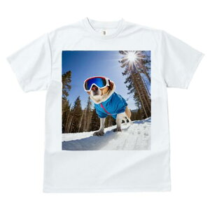 r[O TVc fB[X t@  t  vg JWA 킢 lԗp h ̃fUC ʔ XL[ r[O ~  XL[EFA