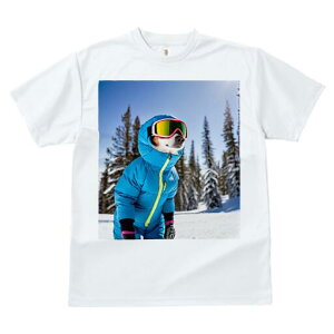 WbNbZeA TVc fB[X t@  t  vg JWA 킢 lԗp h ̃fUC ʔ XL[EFA WbNbZeA XL[