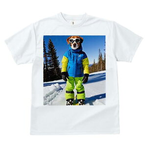 r[O TVc fB[X t@  t  vg JWA 킢 lԗp h ̃fUC ʔ XL[ r[O XL[EFA R ~