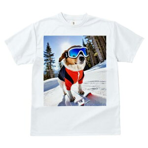 R[M[ TVc fB[X t@  t  vg JWA 킢 lԗp h ̃fUC ʔ XL[ R[M[  ~ XL[EFA