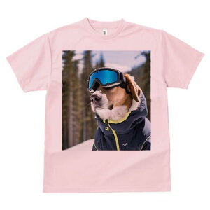 r[O TVc Y LbY t@  t  vg JWA 킢 lԗp h ̃fUC ʔ XL[EFA r[O XL[S[O
