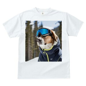 r[O TVc fB[X t@  t  vg JWA 킢 lԗp h ̃fUC ʔ XL[EFA r[O XL[S[O