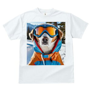 s TVc fB[X t@  t  vg JWA 킢 lԗp h ̃fUC ʔ XL[EFA s XL[S[O R