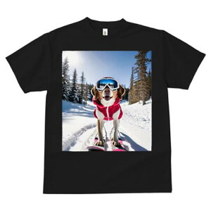 r[O TVc Y LbY t@  t  vg JWA 킢 lԗp h ̃fUC ʔ XL[ r[O  ~ XL[EFA