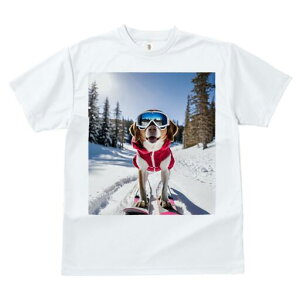 r[O TVc fB[X t@  t  vg JWA 킢 lԗp h ̃fUC ʔ XL[ r[O  ~ XL[EFA