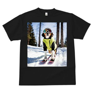 r[O TVc Y LbY t@  t  vg JWA 킢 lԗp h ̃fUC ʔ XL[ r[O ~  XL[EFA