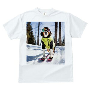 r[O TVc fB[X t@  t  vg JWA 킢 lԗp h ̃fUC ʔ XL[ r[O ~  XL[EFA