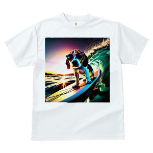 r[O TVc fB[X t@  t  vg JWA 킢 lԗp h ̃fUC ʔ T[tB r[O C g TOX