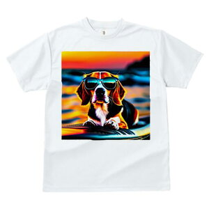 r[O TVc fB[X t@  t  vg JWA 킢 lԗp h ̃fUC ʔ TOX r[O C [Ă