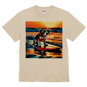 r[O TVc Y LbY t@  t  vg JWA 킢 lԗp h ̃fUC ʔ T[tB r[O C [Ă TOX