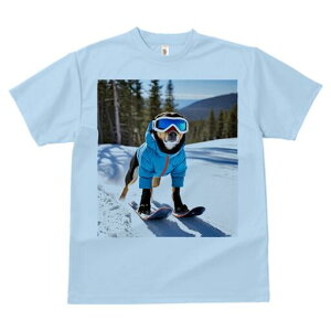 ~bNX TVc Y LbY t@  t  vg JWA 킢 lԗp h ̃fUC ʔ XL[ ~bNX ~  XL[EFA