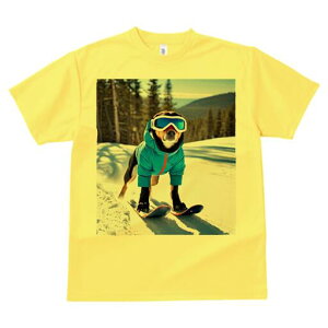 ~bNX TVc Y LbY t@  t  vg JWA 킢 lԗp h ̃fUC ʔ XL[ ~bNX ~  XL[EFA