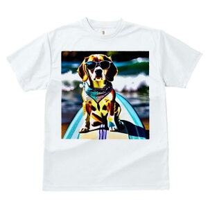 r[O TVc fB[X t@  t  vg JWA 킢 lԗp h ̃fUC ʔ TOX r[O T[t{[h C