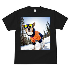 oZW[ TVc fB[X t@  t  vg JWA 킢 lԗp h ̃fUC ʔ XL[EFA oZW[ S[O R ~