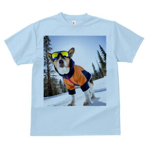 oZW[ TVc Y LbY t@  t  vg JWA 킢 lԗp h ̃fUC ʔ XL[EFA oZW[ S[O R ~