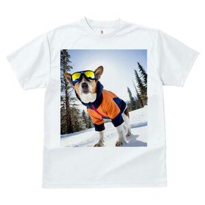 oZW[ TVc Y LbY t@  t  vg JWA 킢 lԗp h ̃fUC ʔ XL[EFA oZW[ S[O R ~