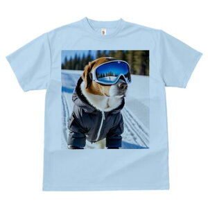 r[O TVc Y LbY t@  t  vg JWA 킢 lԗp h ̃fUC ʔ XL[ r[O ~  XL[EFA