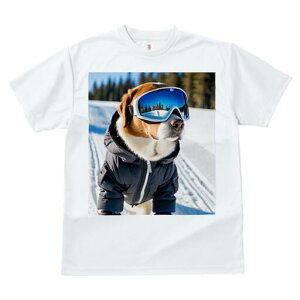 r[O TVc Y LbY t@  t  vg JWA 킢 lԗp h ̃fUC ʔ XL[ r[O ~  XL[EFA