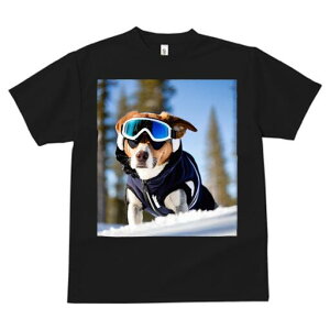 WbNbZeA TVc fB[X t@  t  vg JWA 킢 lԗp h ̃fUC ʔ XL[ WbNbZeA XL[EFA 