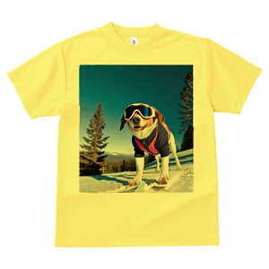 r[O TVc Y LbY t@  t  vg JWA 킢 lԗp h ̃fUC ʔ XL[ r[O XL[EFA S[O R