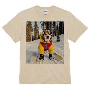 r[O TVc Y LbY t@  t  vg JWA 킢 lԗp h ̃fUC ʔ XL[ r[O  ~ XL[EFA