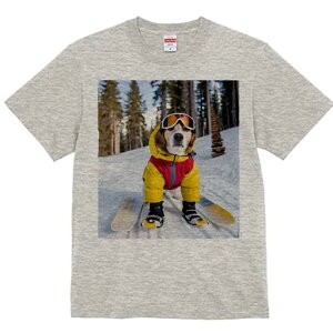 r[O TVc Y LbY t@  t  vg JWA 킢 lԗp h ̃fUC ʔ XL[ r[O  ~ XL[EFA