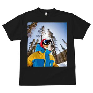 r[O TVc fB[X t@  t  vg JWA 킢 lԗp h ̃fUC ʔ XL[ r[O ~  XL[EFA