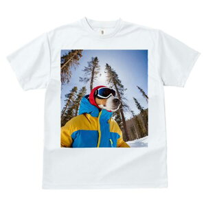 r[O TVc fB[X t@  t  vg JWA 킢 lԗp h ̃fUC ʔ XL[ r[O ~  XL[EFA