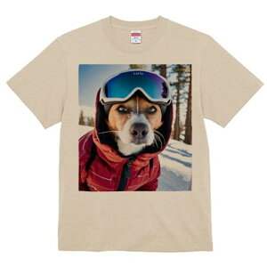 WbNbZeA TVc Y LbY t@  t  vg JWA 킢 lԗp h ̃fUC ʔ XL[EFA WbNbZeA XL