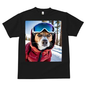 WbNbZeA TVc fB[X t@  t  vg JWA 킢 lԗp h ̃fUC ʔ XL[EFA WbNbZeA XL[