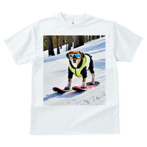 ~bNX TVc fB[X t@  t  vg JWA 킢 lԗp h ̃fUC ʔ Xm[{[h ~bNX  ~ XL[EFA