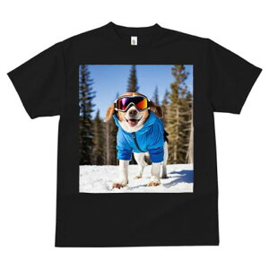 r[O TVc fB[X t@  t  vg JWA 킢 lԗp h ̃fUC ʔ XL[ r[O ~  XL[EFA